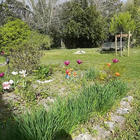 La Cabane